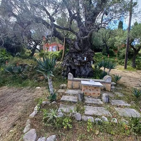 Robin Hood Holiday home Akrotiri (Zakynthos)